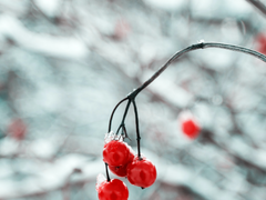 타케른) 모르는 사람들에게 미움 같은 것을 받고 있는거 같다 6