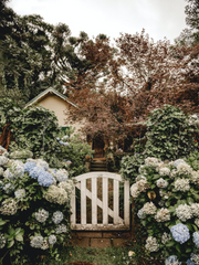 내가 키운 S급들 단편 모음집