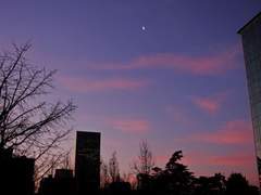 [린히이린] 새벽