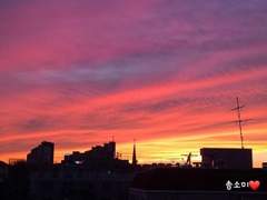 [1417니키린] 노을