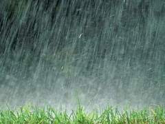 [린히메린] 장마