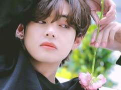 섬마을 춘풍 - 18