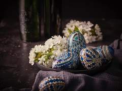 제목 미정 (전문 공개 샘플입니다.)