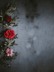 수인물 유니버스