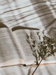 문탁 : 24주 독서록