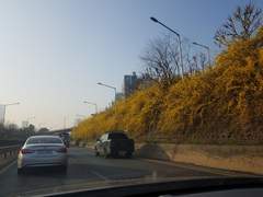 2022. 4. 4. 총체적 난국