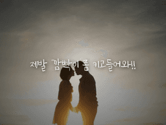 제발 깜빡이 좀 키고들어와!!