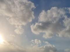 얘네는 질리지도 않나...?