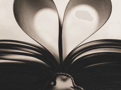 [준정] 고양이의 보은