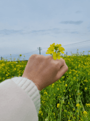 또하랑의 자취 T-log