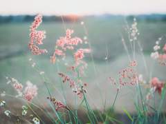 들려오는 목소리