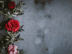 극락정토 부른게 나 극락보내려고 한거였네