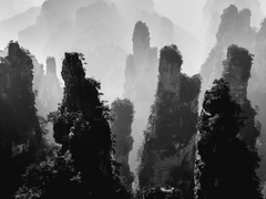 [화산귀환] 사량침주(捨糧沈舟) 9