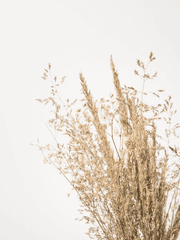 (채티) 빅히트 쳐돌이의 머릿속