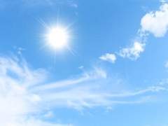 [1417니키린] 더위