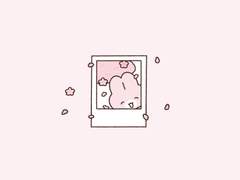 Cherry blossom goodnote sticker Zz.