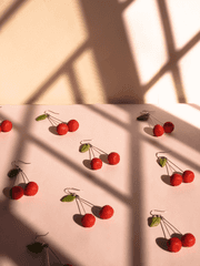 4th 싱글 기념 합작 