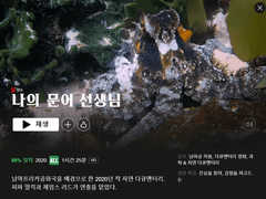 나의 문어 선생님