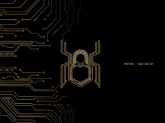 공유 ㅣ 스파이더맨 블랙&골드슈트