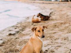 [데못죽] 너네 둘 왜 나만 빼고 친해? (1)