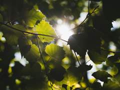 변하지 않는 것