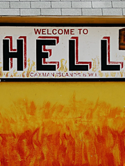 방치형 악마키우기