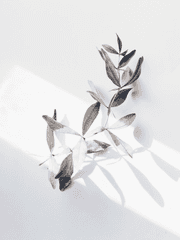 정신병 환자의 이야기