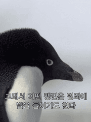 [AO3 번역] Too scared to dream