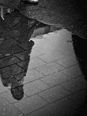 후레자식이라 안 죄송합니다