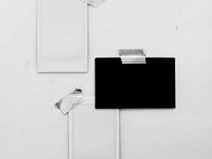 마음을 빼앗긴 말