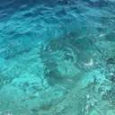 펠리아 B. 블랑키