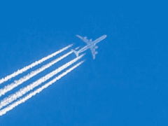 한달간의 버킷리스트