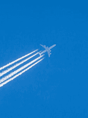 한달간의 버킷리스트