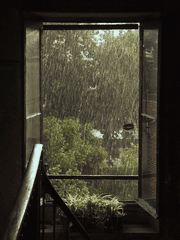 헌책방, 주인 아들