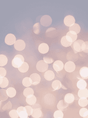 다그시 드림 백업