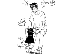 포메인 줄 알고 키웠는데 사모예드임