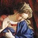 익명의 알바트로스