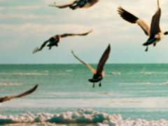 [ 민혜리 / 19 / XX ]