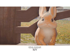 지쉐이드 MSG 필터