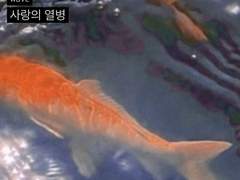 5월 20일 오전 5시 10분 20초