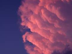 김나온 스무살 나비효과