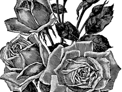 일드 모음집 안내