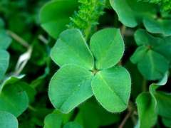 봄에 듣는 피아노...