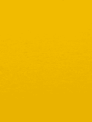 아나나스(가제)