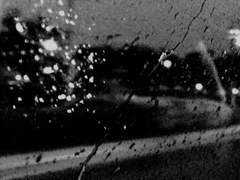 Bibamus, moriendum est.