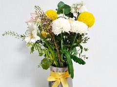 [서재호] 파란 하늘을 꿈꾸는 국화