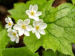 누군가의 심장이 될 수 있나요?