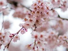 [조각] 그들만의 사정3