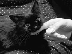 검색어를 입력하세요.