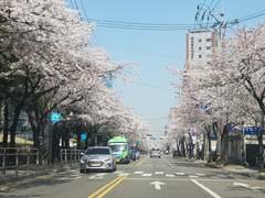 2022. 4. 8. 오랫동안 부부생활을 하다가 보면 편한 것..